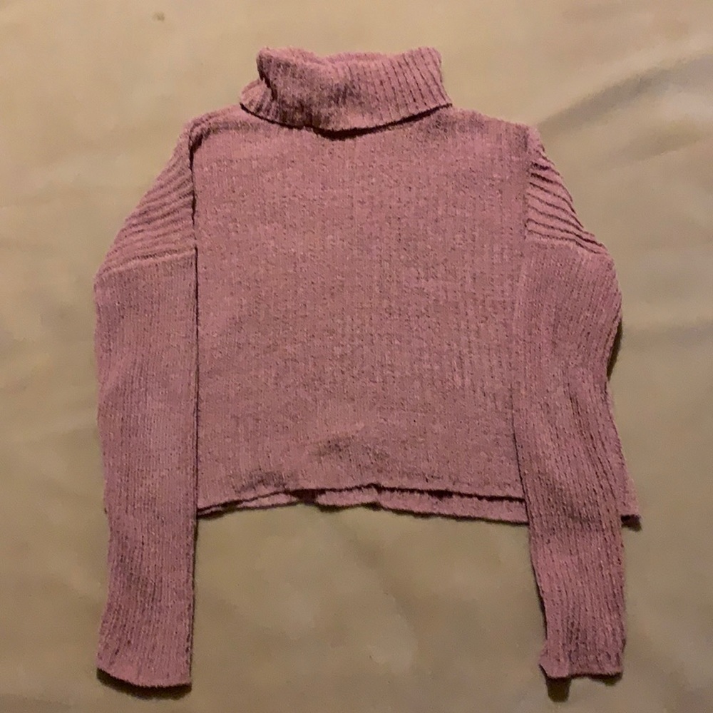 Ivy and Main Cropped Turtleneck Sweater